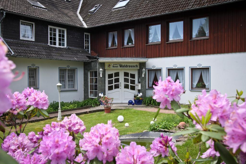Hotel Waldrausch Goslar Exterior foto